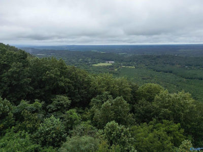 Scenic Hwy Mentone, AL 35984