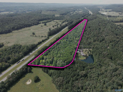 County Road 611 Valley Head, AL 35989