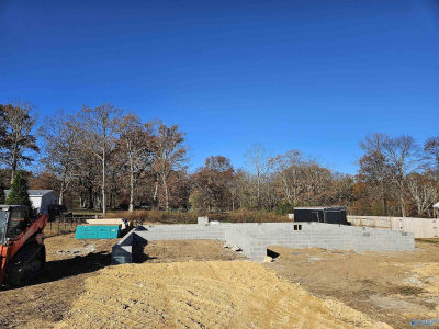 970 Creekstone Point Dr Fort Payne, AL 35967