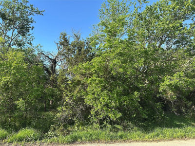 LOT Spring Rd #B Ranger, TX 76470
