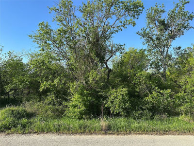 LOT Spring Rd #A Ranger, TX 76470