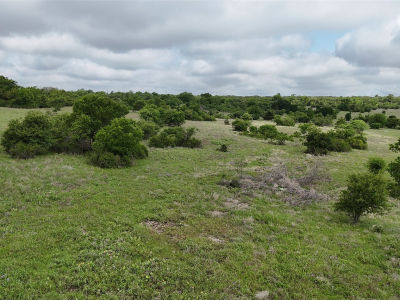 LOT 51 County Road 242 Comanche, TX 76442