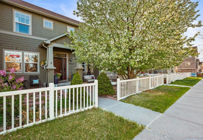 4054 Sandia Trl Castle Rock, CO 80109