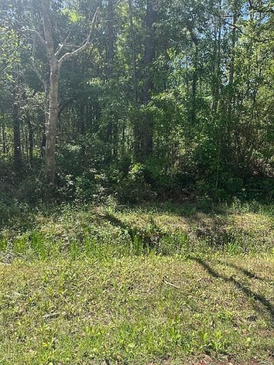 LOT 38 E Lamar St Bay Saint Louis, MS 39520