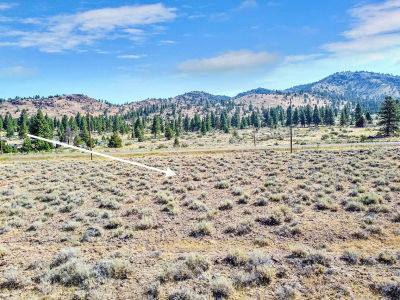 163 Smithneck Rd Loyalton, CA 96118