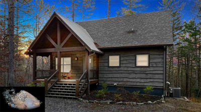 345 Deer Trl Mineral Bluff, GA 30559