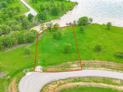 LOT 31 Lake Ridge Dr Streetman, TX 75859