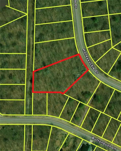 Honeysuckle Dr Hazleton, PA 18202