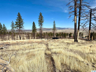 713-400 Hicks Rd Janesville, CA 96114