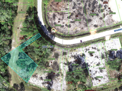 00-00 Sparrow Ct Kissimmee, FL 34759