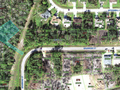 0 Sparrow Ct Kissimmee, FL 34759