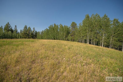 LOT 11 Potpourri Dr Ashton, ID 83420