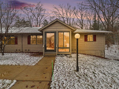 5766 W Brookwood Pl Ludington, MI 49431