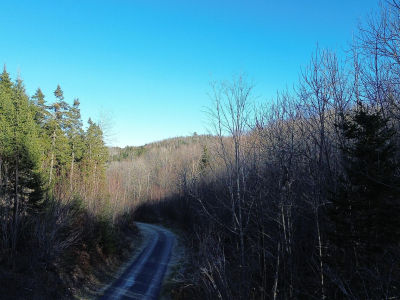 M5-L46D Black Bear Ln Frenchville, ME 04745