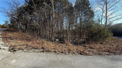 0 Sassafras Dr Hillsboro, MO 63050