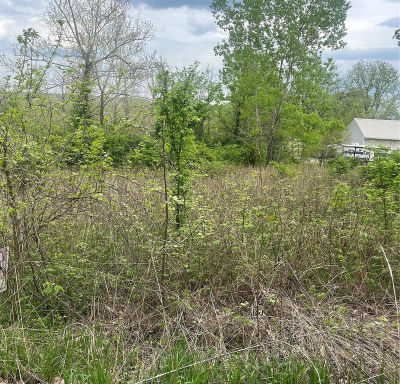 784 Sunset Maple Dr Gray Summit, MO 63039