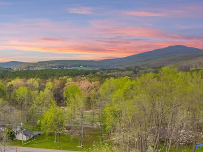 105 Blackfoot Bnd Gurley, AL 35748