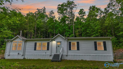 67 McDonald Rd Guntersville, AL 35976