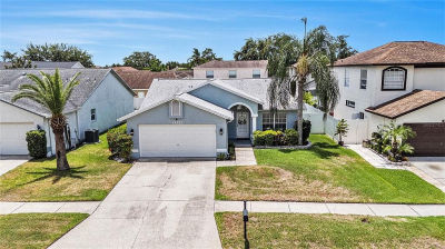 11222 Clayridge Dr Tampa, FL 33635