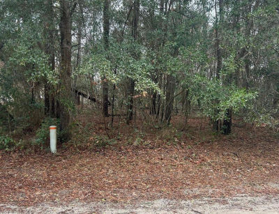 103 Dogwood Ln Sneads Ferry, NC 28460