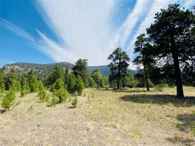 133 Canyon View Dr LOT 133 Antonito, CO 81120