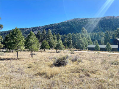 166 Lonesome Pine Dr LOT 166 Antonito, CO 81120