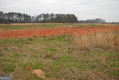 LOT 2 Mathews Rd Milner, GA 30257