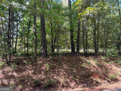 LOT 15 Weems Rd Molena, GA 30258