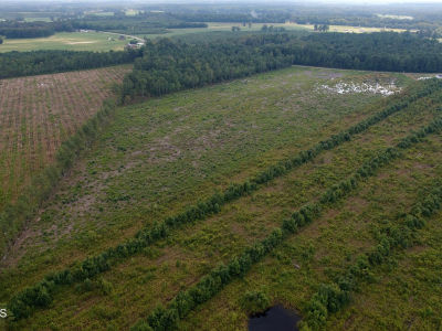 0 Roosevelt Spain Rd Greenville, NC 27834