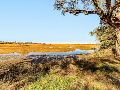 1457 Patterson Ave Charleston, SC 29412