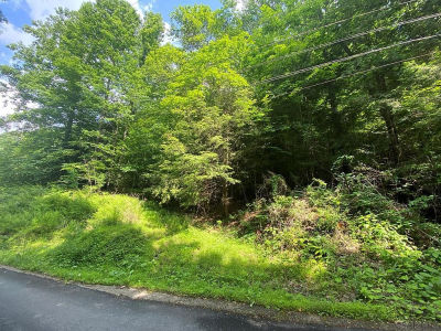 Pleasant View Dr Johnstown, PA 15905
