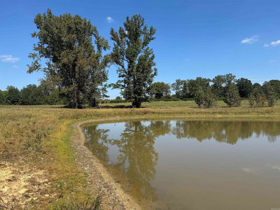 0 C A Holland Rd Quitman, AR 72131