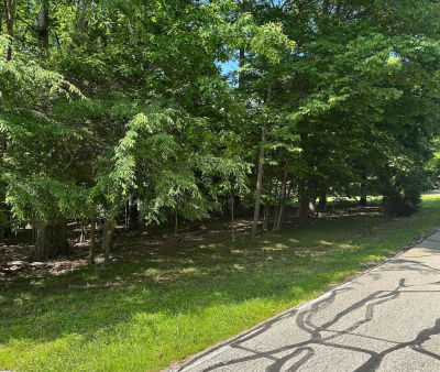 246 Pine Point Rd Brandenburg, KY 40108