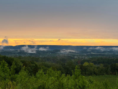 4875 New Union Rd Dayton, TN 37321