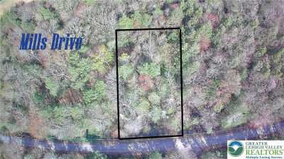 Mills Dr Albrightsville, PA 18210