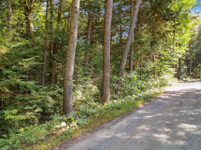 933 Gage Rd Tunbridge, VT 05077