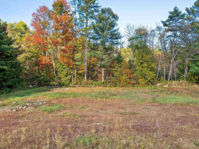 239 State Rte #25C Piermont, NH 03779