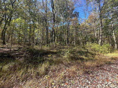 20 Rhododendron Dr Terra Alta, WV 26764