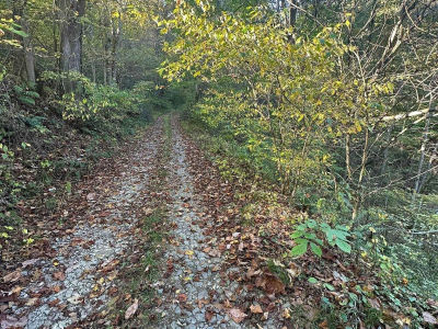7 Cannon Hill Rd Rowlesburg, WV 26425