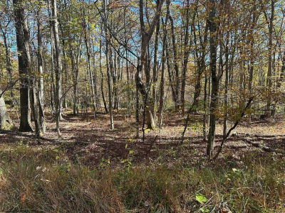 470 Redwood Dr Terra Alta, WV 26764