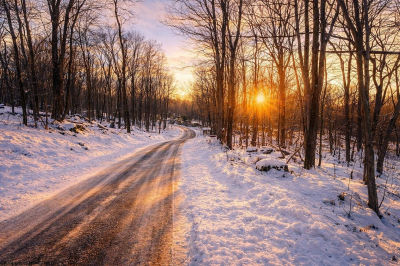 Columbine Cir Terra Alta, WV 26764