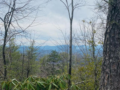 LOT 46 Ridge View Dr Andrews, NC 28901
