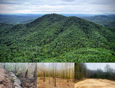 0 Flea Mountain Rd Murphy, NC 28906