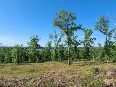 230 Waterview Dr Conway, AR 72032