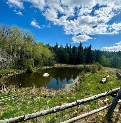 Nhn Perkins Gulch Rd Anaconda, MT 59711