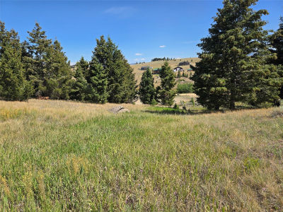 LOT 84 Chalet Loop Butte, MT 59701