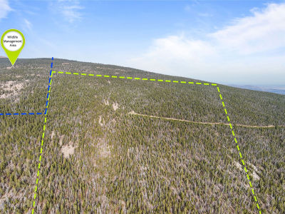 Nhn Rosa Trl Anaconda, MT 59711