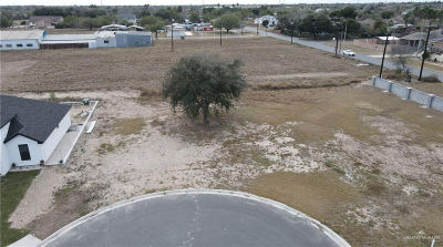 4309 Zinnia Ave McAllen, TX 78504