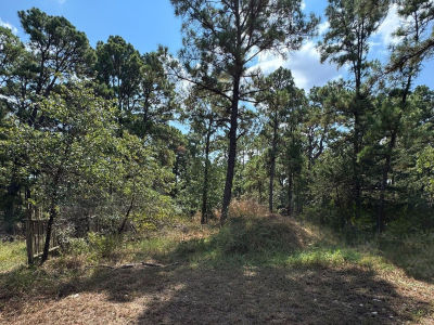 0 Hula Ln Bastrop, TX 78602