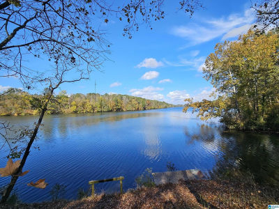 14536 Plant Rd #28 Alpine, AL 35014